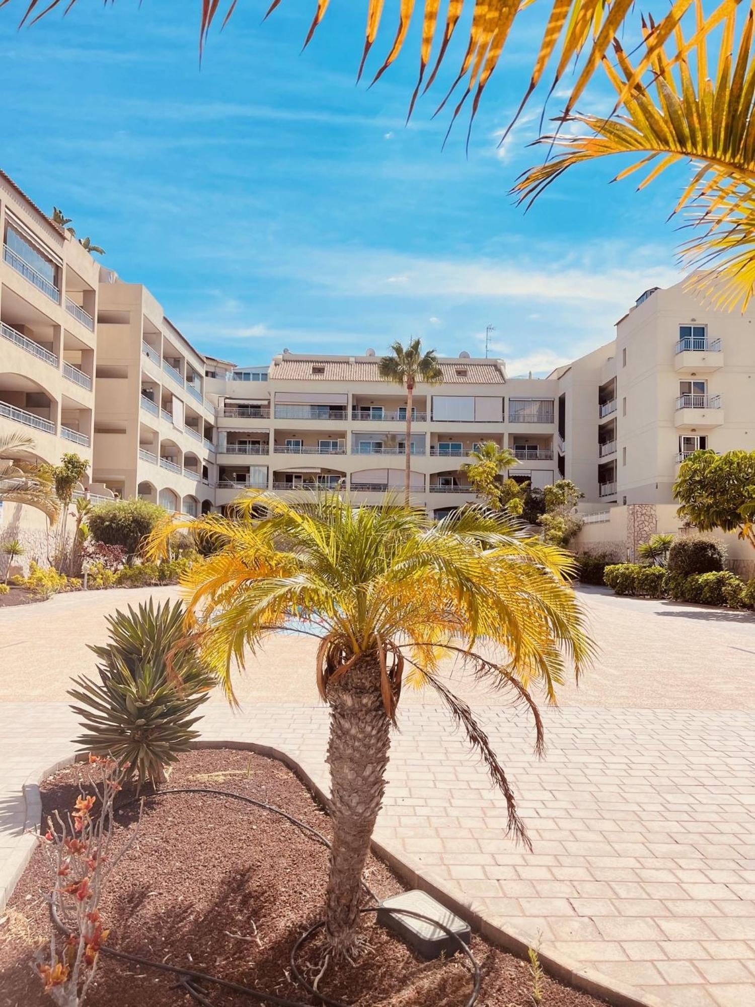 Palm Mar Penthouse Duplex Lägenhet Exteriör bild